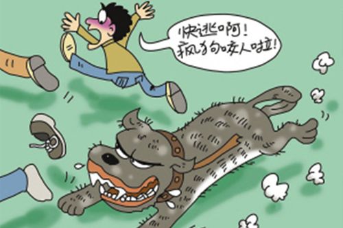 網(wǎng)站收錄在網(wǎng)站優(yōu)化中起到什么作用？