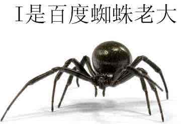 合肥網(wǎng)站優(yōu)化教程：基于搜索引擎友好的網(wǎng)站結構優(yōu)化