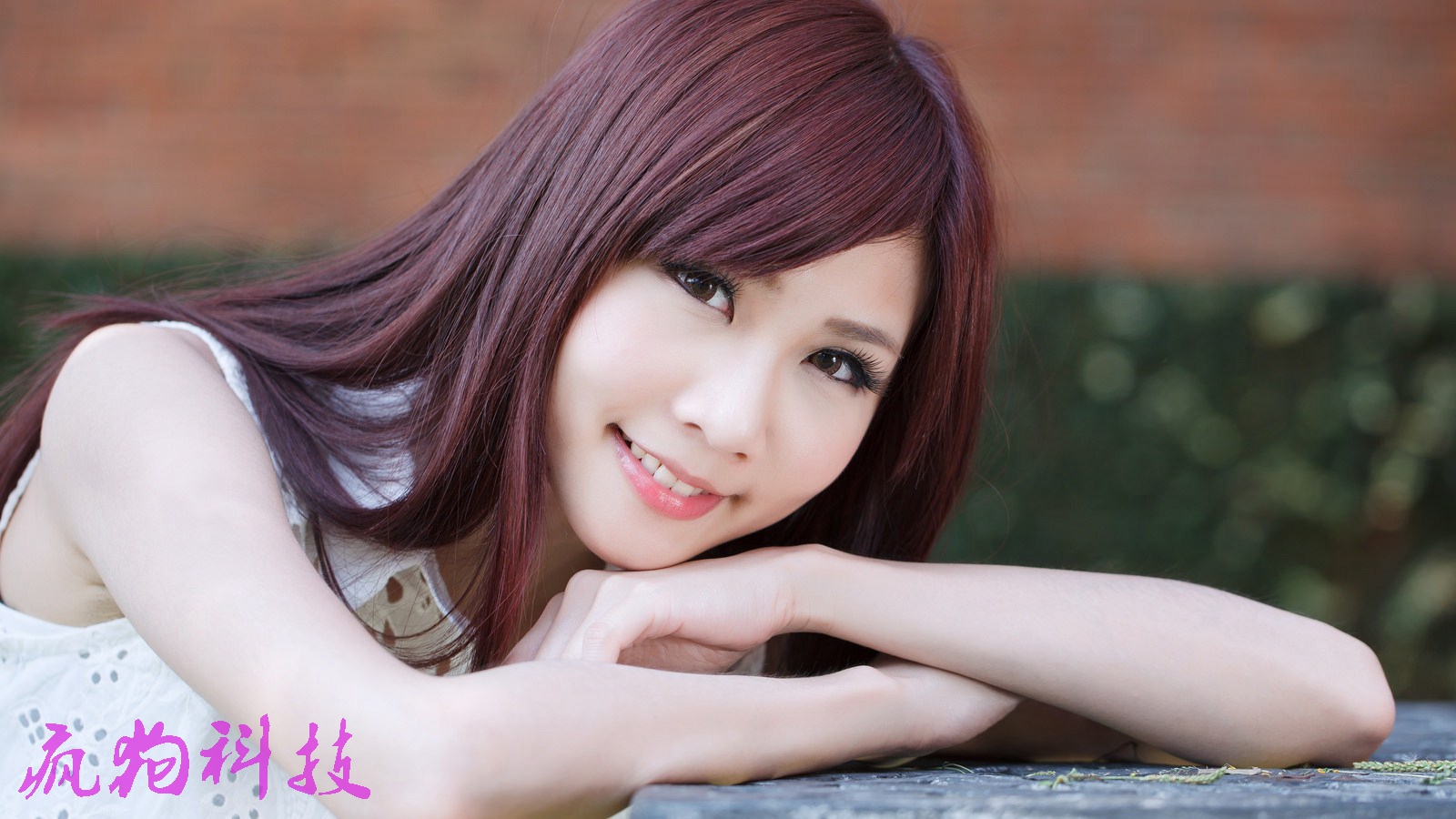 帶你走進(jìn)“系統化的SEO優(yōu)化”的世界