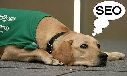 哪些類(lèi)型的改動(dòng)會(huì )影響到網(wǎng)站的seo？