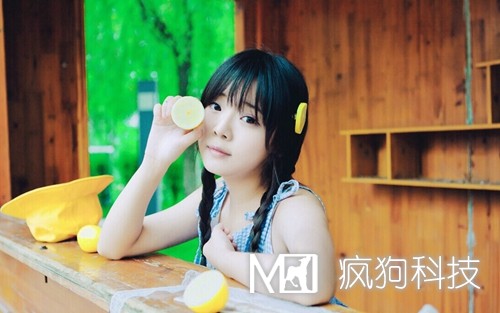 SEO與SEM如何作抉擇？