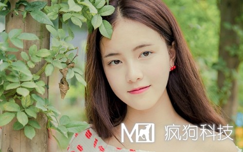 2017年網(wǎng)站推廣的20個(gè)方法策略？