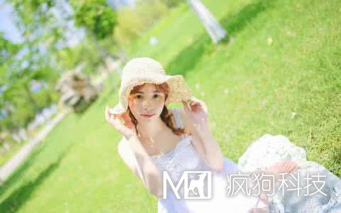 網(wǎng)站SEO優(yōu)化中應該查看哪些數據？