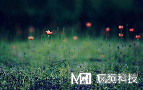 如何提高網(wǎng)站粘度，增加網(wǎng)站回頭客？