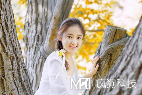 網(wǎng)站優(yōu)化中的死鏈是如何產(chǎn)生的？