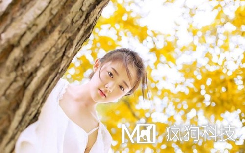 收藏：快速頁(yè)面收錄的六大絕技！